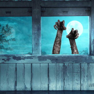 nEB EH[XebJ[ fJ[ ɂ݂ǎ p[eB[pi vC[ rO[ xbh[ nEBp[eB