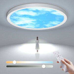 LedV[OCg6`830w 3600lmԐڌ铔VƖRtFȃGl|[^CeACgdCƖCgceiling light󃉃CgQ/rO[/Lb`
