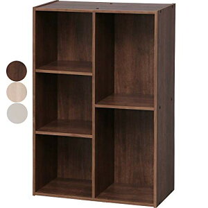 �A�C���X�I�[���}�J���[�{�b�N�X 2 3�i �u���E�� CX-23C