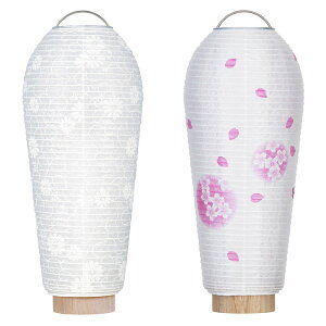 d cX ~j ~ ~傤 ()Α2_ZbgyCz ~pEV+ʔNpEڂ25cm×Α܌a10cm R[hX u ؖt