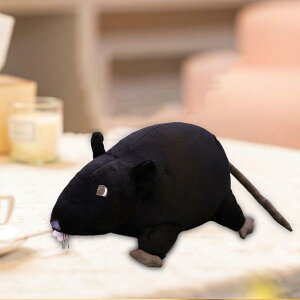 ʂ lY~̂ l` ʂ C^NeBu Mtgp q RNV ubN