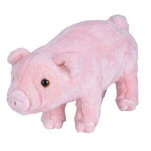 ʂ  q LN^[ 킢 a p[eB[ NX}X v[g sN