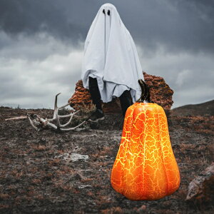 nEB[pvLv^ӍՃfBi[Cxgui铔zf[CgAbvw̃xbhTCh