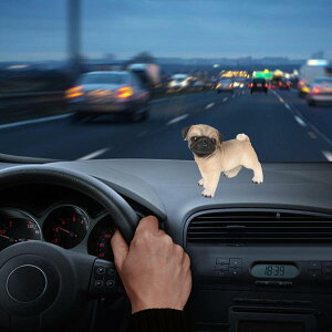 킢pOu ~߃}bgI[igt ~j`Ȃ Ԃ̃_bV{[h  CeA ItBX K[f fXNg