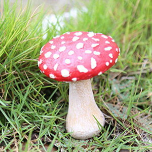 ̂tBMA[h̑OK[fANZT[p̃Jtȑϋv̂̒u