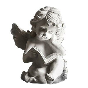 ǏVg̒u̎̒̃[bp̒ۓIȌ|p̌j