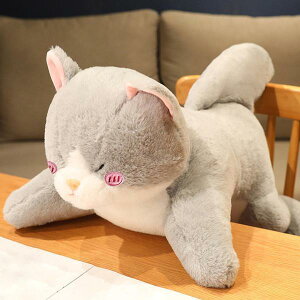 炩TLʂݑlpQl`q50cm
