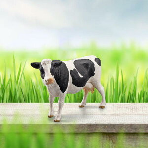 ̋̒uObYMtgߋP[Lgbp[