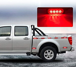 LEDx, 4pbN 4LEDS}tbV12-24 VߐFXg{댯xh ()