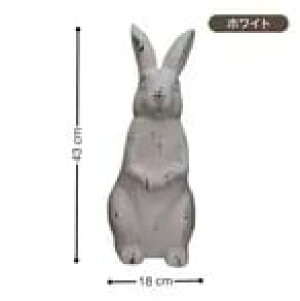 K[fI[ig Be[W g  u IuWF  킢  AeB[N [bp  fUC  ͋C K[fjO  fR[V O 