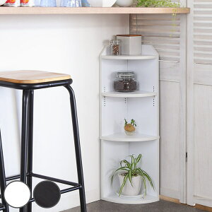 JE^[ R[i[bN 22cm JE^[ JE^[ R[i[ fBXvCbN I[vbN R[i[Lb`[ Lb`JE^[  bN