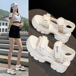 X|[cT_fB[XĂ̐VAE^[}h[kr[`T_oRC