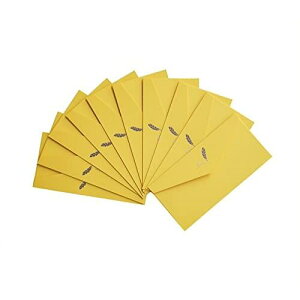 封筒 レターセット 10枚セット おしゃれ 高級 金箔をきせる メッセージカード/案内状/挨拶状/ポ