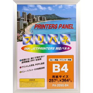 C^ z vplS JISTCY B4 A~t[ Vo[ PA-212-SI-B4