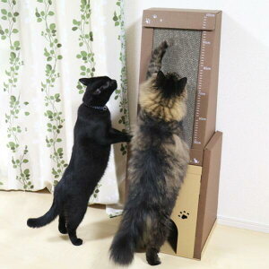 キャットハウス 高さ100cm またたび 爪とぎ付き 積み重ね 猫 ペットハウス nekoto 爪とぎハウス ( ネコ ねこ 猫用品 爪とぎ )