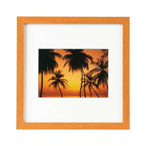 �P���R�[ �z�� PC�t���[���X�N�G�AII 2L �i�`������ �������t���[�� �K���X�\�ʍ� �����X�^���h�t�� PS-PC2-2L-NA