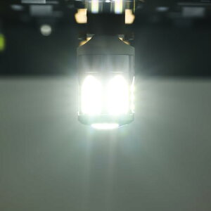 �g��LED �_�u�� s25 �_�u�� �z���C�g 12v 24v���s�� 2�Z�b�g (�z���C�g)