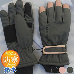  fB[X O[u X}zΉ n  p ۉ AE^[ JWA h h   oCN hCu XL[ Jbv