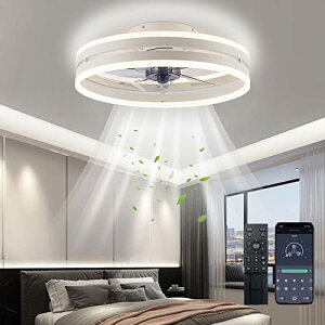 V[Ot@Cg LEDVt@Cg Ét@tƖ V[OCg Rt߉\ȕ (, 50cm)