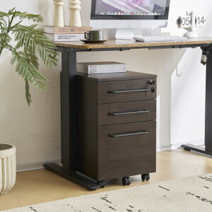 fXNS  TChS 59cm ItBXS X`[ I[bN S A4t@C bN