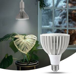 24W 2000lm A琬Cg LED A琬pv led z tXyNg A琬/k͔|/p ȃGl ƒ؉/؍H/A/LpYt 6000kizCgj