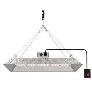 A琬Cg pl LEDCg ϗtA/AKx///A/rJNV