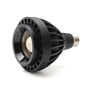 A琬LEDCg gFn 4000Pr