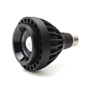 A琬LEDCg gFn 4000Pr