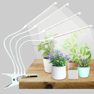 A琬Cg led Nbv y1`4{܂őIׂ郉Cg{z ApCg X^h ϗtA A ͔|  Cg 360xA[ /؂ւ/^C}[