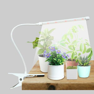 A琬Cg led Nbv y1`4{܂őIׂ郉Cg{z ApCg X^h ϗtA A ͔|  Cg 360xA[ /؂ւ/^C}[