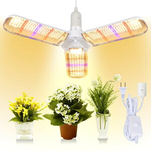 Cg 100W \Pbgt E26 dR[ht cCg gFn tXyNg k͔| ͔|p ƒ؉ AHȂǏꍇɓK܂