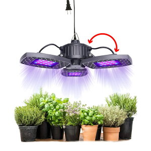 Cg 600W LED h 3wbhōLCg led A琬Cg ϗtA琬Cg  CeA 琬 i v    ƒ؉ ƕs  v^[ ^ h