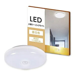 LEDiCgCgCgl̑̌CgdCgPx铔^^T|[gCgƖ^[LL