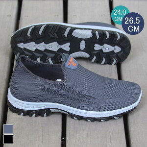 Xj[J[ Y St StV[Y JWA X|[c ~ ؍t@V ҃V[Y y