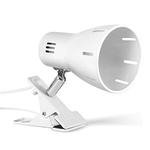 NbvCgE26 X|bgCg dCX^h ]\ px\ X d pCg dʔ荕