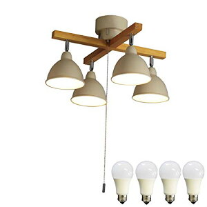 _˃}U[Yv V[OCg Ɩ VƖ 4NXEbho