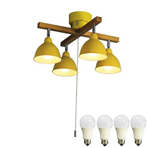 _˃}U[Yv V[OCg Ɩ VƖ 4NXEbho