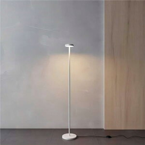 k tACg ԐڏƖ  140cm ו tAv F X^hCg V[OCg 6 ȃGl leddt