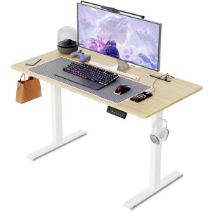 ゲーミングデスク 電動 昇降式デスク ×コンセント付き 静音 速い 安定昇降 フック付き ケーブルマネージャー付き パソコンデスク pcデスク ワークデスク耐荷重80kg 幅120cm×奥行60cm×高さ72-117c