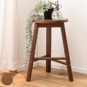 Xc[ ~^ 45.5cm  ~` VR ؐ `FA ֎q  y Vv i` CeA