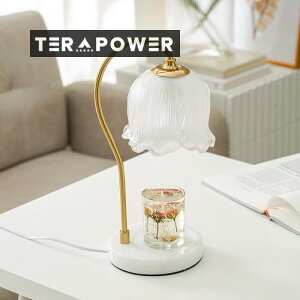 {gp Ƌ ؍CeA Lh 2̓dt G EH[}[v