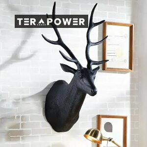 Ǌ| CeA  mg[ neBOgtB[  u A[g I[ig  Aj}  zCg ubN 4-7