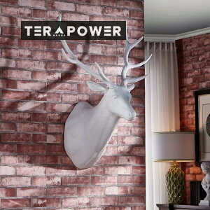 Ǌ| CeA  mg[ neBOgtB[  u A[g I[ig  Aj}  zCg ubN 4-7