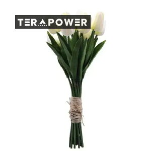 ňlɒ[؍CeA]bvLED [h v S4F ԐڏƖ drCg