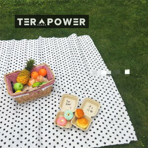 Z[ sNjbNNX AEghA wi ʐ^ e[uNX r[`^I Rbg