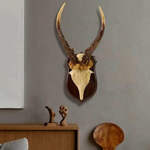 Ǌ|CeA IuWF neBOgtB[ u EH[CeA I[ig    rO jOCeA A[g