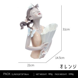 INSX^C ԕr t[x[X hCt[ insX^C ԕr kt@bV ̎q  Aؔ ԕr