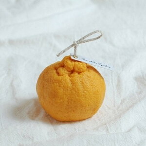 ؍ G  Lh A}Lh E\N CeA Ƃ̑