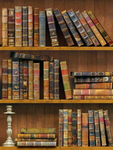 3dSǎBe[W{I s[AhXeBbN ؖڒ̎ O\ȎȔS Lrlbg Ƌ Lb`p