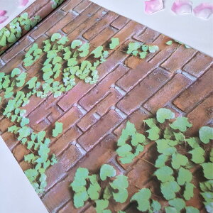 ǎV[ mt 10m 2{Zbg EH[XebJ[ h K ͂ C  Lb` gC B CNV[g